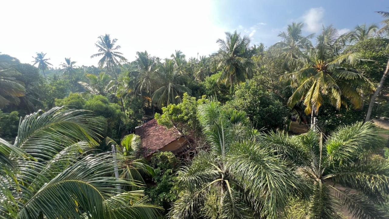 Wilson'S Place Dikwella Bagian luar foto